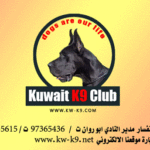 النادي الكويتي للتدريب