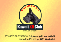 النادي الكويتي للتدريب