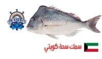 شركة الدانة الوطنية للأسماك