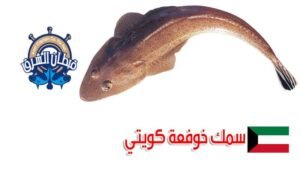 سمك خوفعة كويتي