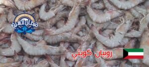 روبيان كويتي