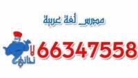 مدرس لغة عربية متخصص