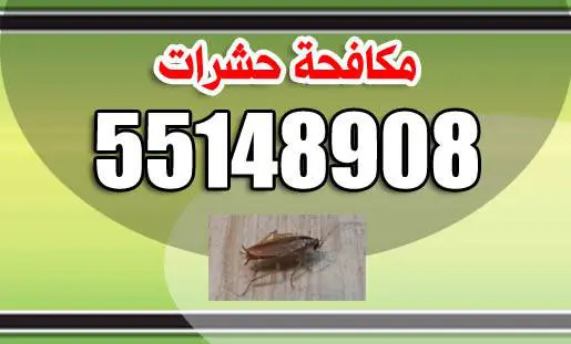 شركة صقور الكويت لمكافحة الحشرات 55148908 1 شركة صقور الكويت لمكافحة الحشرات