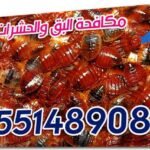 شركة مكافحة الحشرات والبق