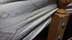 يفضل التواجد بين ثنايا المراتب وبعيدا عن النظر