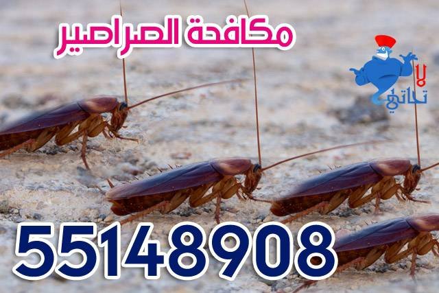 شركة سلطان الخليج لمكافحة الصراصير في الكويت 55148908 1 شركة مكافحة الصراصير في الكويت وفحص أماكن الإصابة