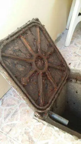مكافحة صراصير المجاري والبالوعات 2 رش مبيد حول بالوعة بها صراصير