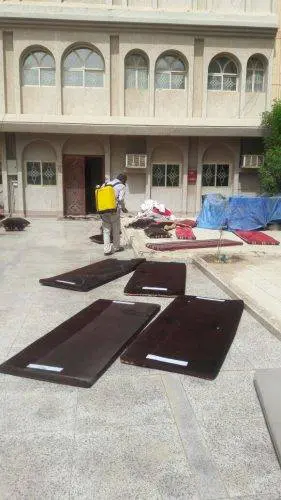 مكافحة الحشرات الزاحفة والطائرة داخل المنزل