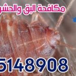 رقم أبو يعرب متخصص مكافحة حشرات 55148908