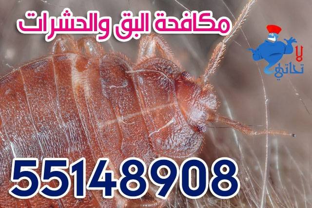 مكافحة حشرات 55148908