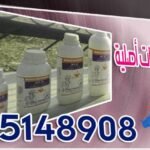 صور وأعمال مكافحة حشرات للعام السابق 2016