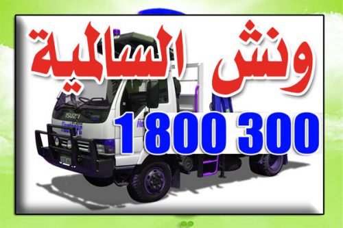 ونش السالمية