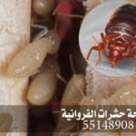 شركة مكافحة حشرات الفروانية 55148908