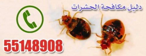 شركات مكافحة حشرات بالكويت