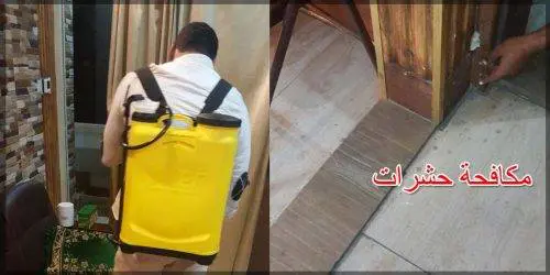 مكافحة حشرات رش مبيدات