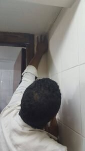 عجينة الصراصير