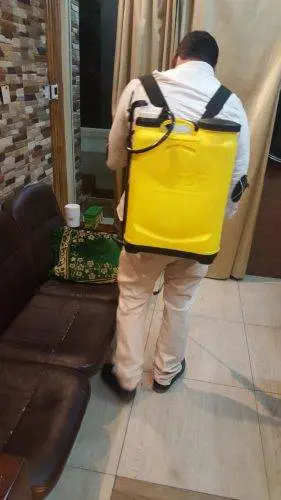 رش المبيدات للقضاء على كافة أنواع الحشرات رش المبيدات للقضاء على كافة أنواع الحشرات