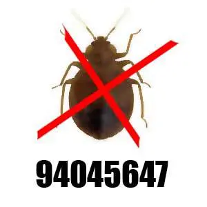 مكافحة حشرات الجهراء ورقم شركة رش 94045647 1 مكافحة حشرات الجهراء ورش المنازل ضد الصراصير والبق