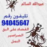 مكافحة حشرات منطقة عبدالله السالم