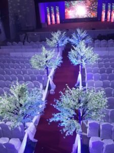 تنظيم حفلات