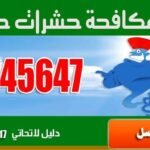 فني مكافحة حشرات حولي 94045647