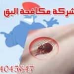 شركة مكافحة البق & إبادة الحشرات 94045647
