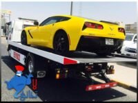 ونش بوريان السريع سبور 55519022